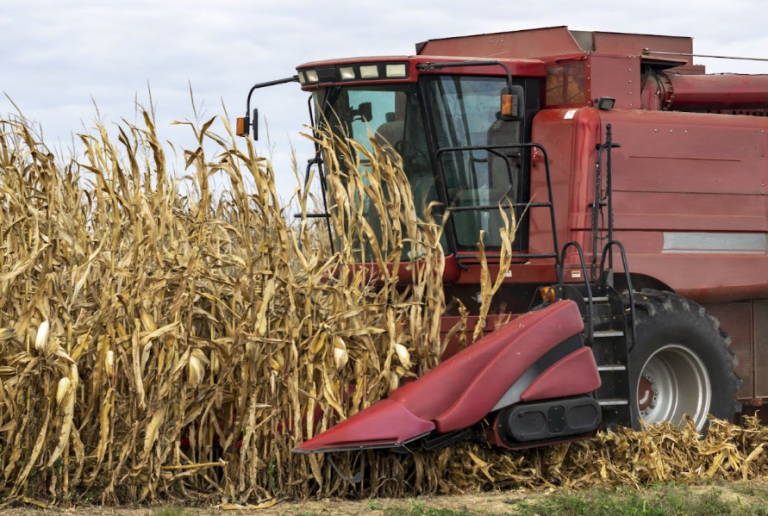 Why Case‑IH Tractors Are the Go‑To Choice for Large‑Scale Livestock Farms